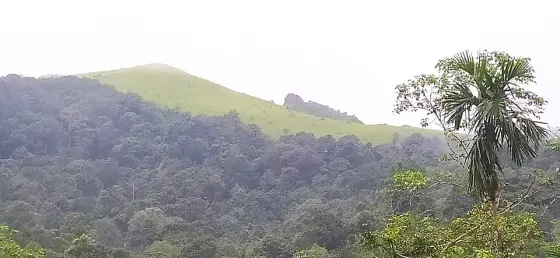 Ranipuram (1)