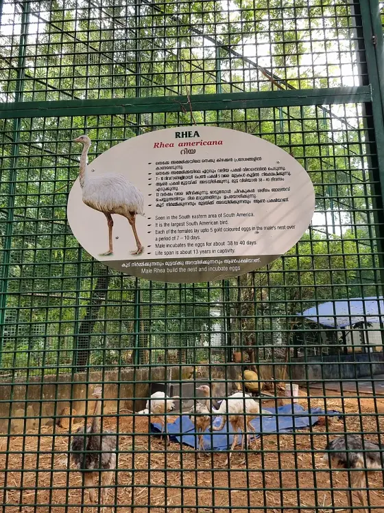 Thrissur Zoo (2)