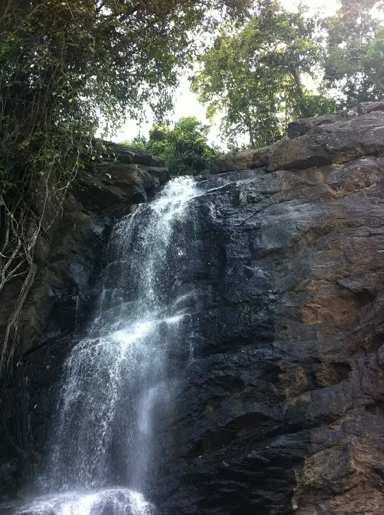 Soochipara Waterfalls (3)