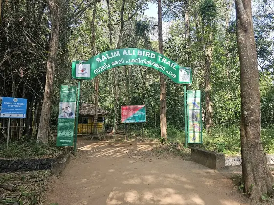 Thattekkad Bird Sanctuary (3)