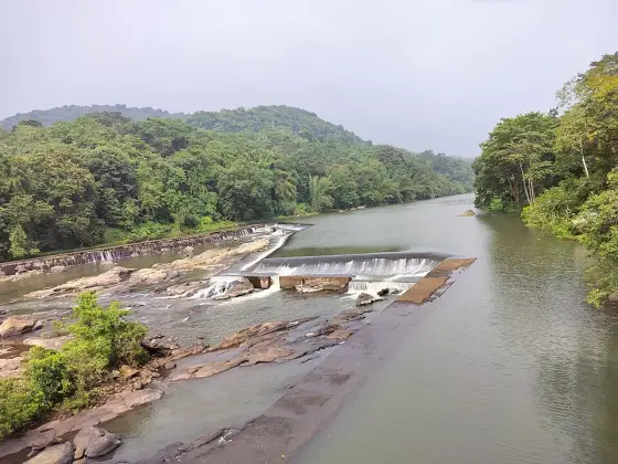 Thumboormuzhi Dam (2)