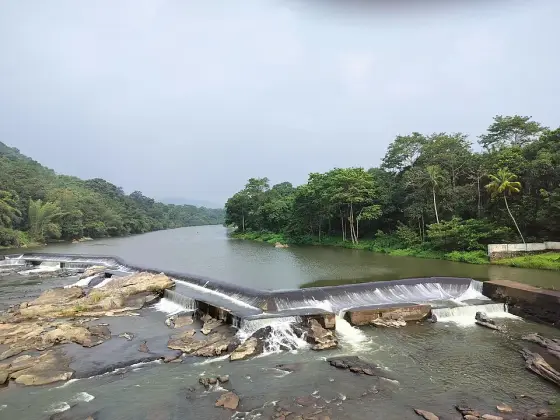 Thumboormuzhi Dam (3)