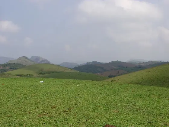 Open meadow with distant hills beneath a grey sky.
