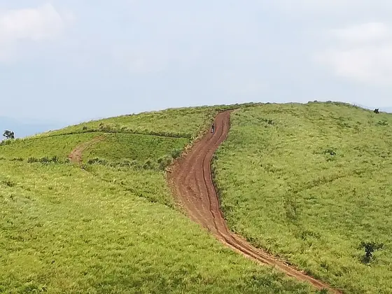 A worn track through the grassland.