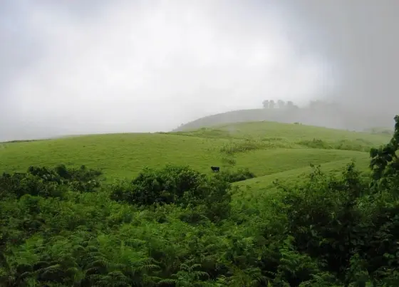 Mist around the higher Vagamon slopes.