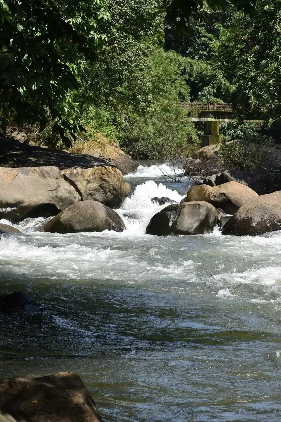 Adyanpara Waterfalls (2)
