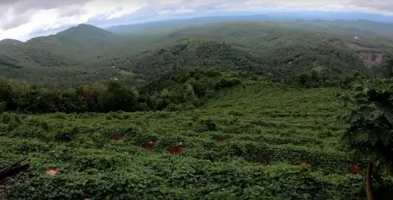 The rolling green Arimbra landscape.