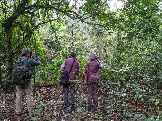 Birdwatchers observing the forest at Periyar.