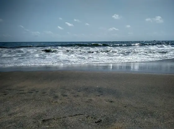 Waves breaking on Chavakkad’s sandy shoreline.