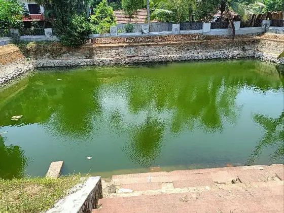 Steps descending to the pond beside Cheraman Masjid.