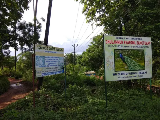 Choolannur Peafowl Sanctuary (2)