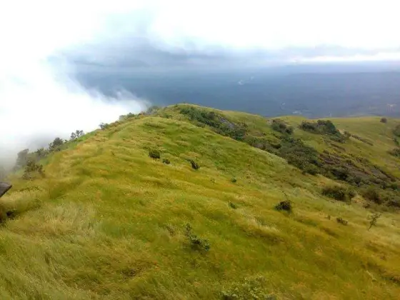 A grassy ridge at Kodikuthimala.