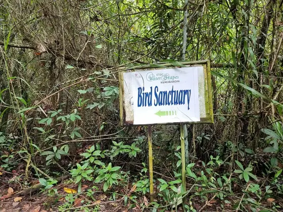 The sanctuary sign among bamboo stems.