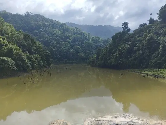 Moozhiyar Dam (1)