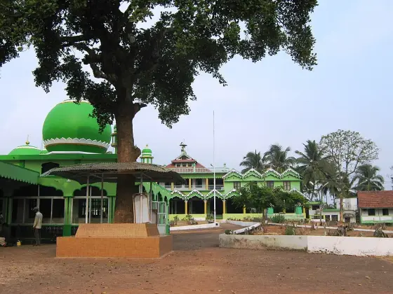Nellikunnu Mosque (2)