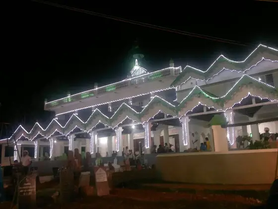 Kasaragod town (4)