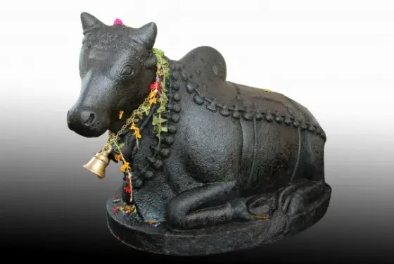 The garlanded bull figure associated with Shiva worship.