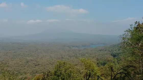 Parambikulam Tiger Reserve (1)