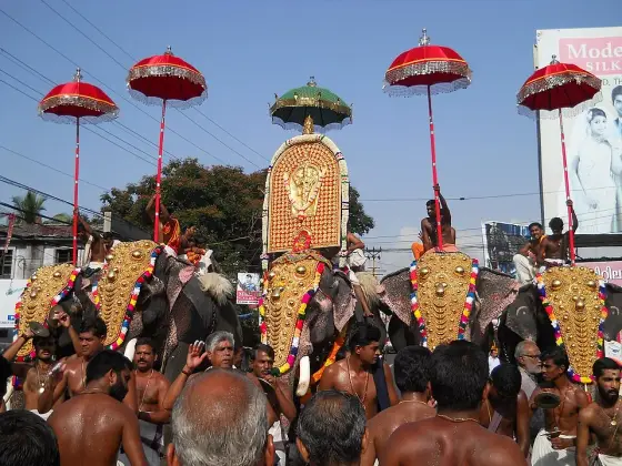 Decorated elephants and parasols at the 2011 festival.