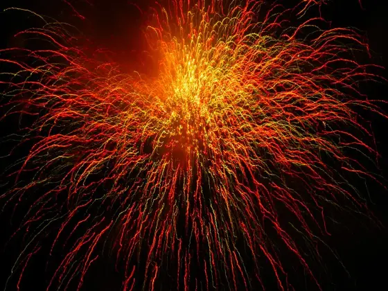 Fireworks photographed during an earlier Thrissur Pooram.