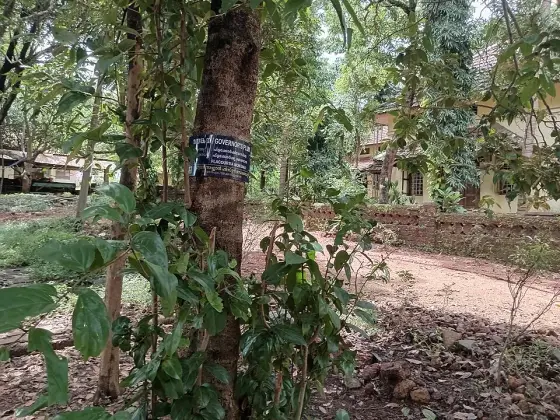 Anandashram (2)