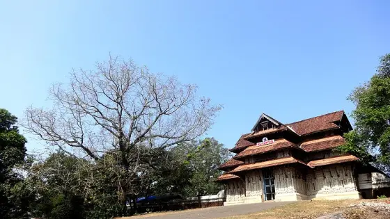 The southern side of the temple behind its perimeter wall.