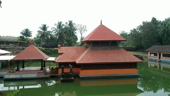 20101127 007