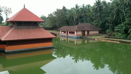 20101127 008