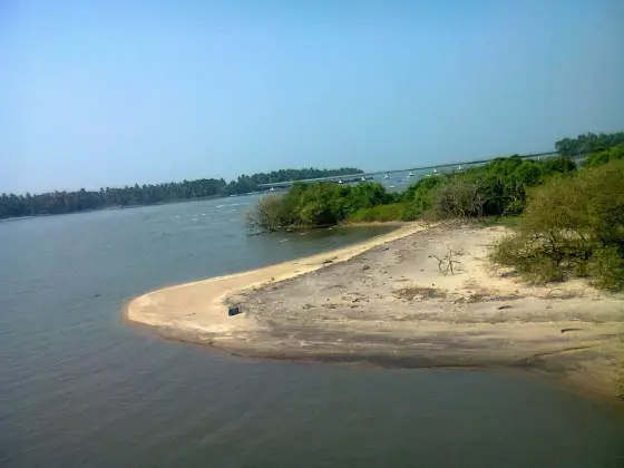 Kadalundi Bird Sanctuary,kerala   panoramio