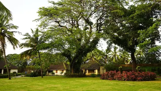 TellicherryFort Thalassery Kerala DSC03941