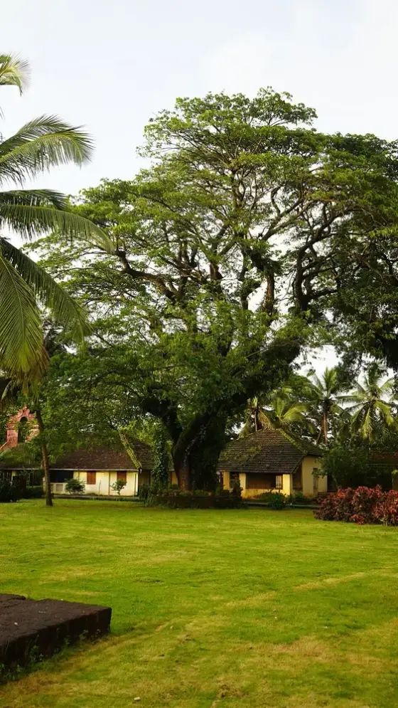 TellicherryFort Thalassery Kerala DSC03942