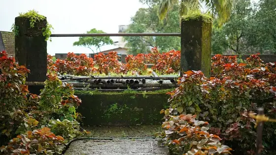 TellicherryFort Thalassery Kerala DSC03949
