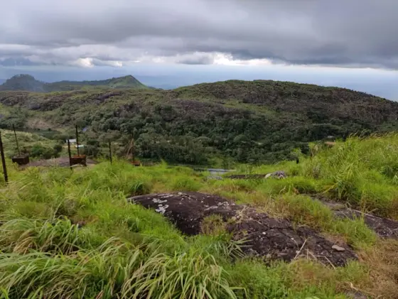 Lichen-marked rocks and grass overlook a wooded hollow enclosed by low rocky hills at Ilaveezhapoonchira.