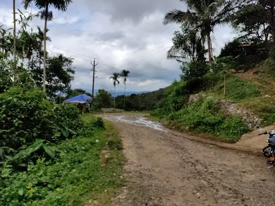 A wet approach road curves between palms, a stone bank and a blue-covered shelter in this 2021 Ilaveezhapoonchira photograph.