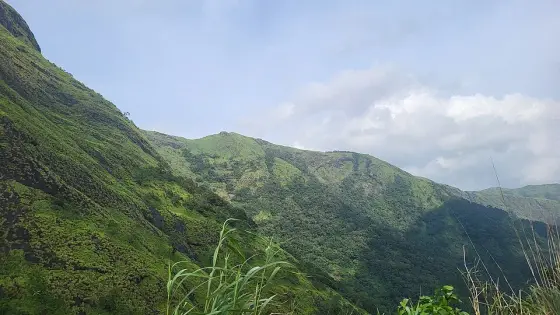 Green slopes and exposed dark rock enclose a wooded hollow beside Illikkal Kallu, with grass bending in the foreground.