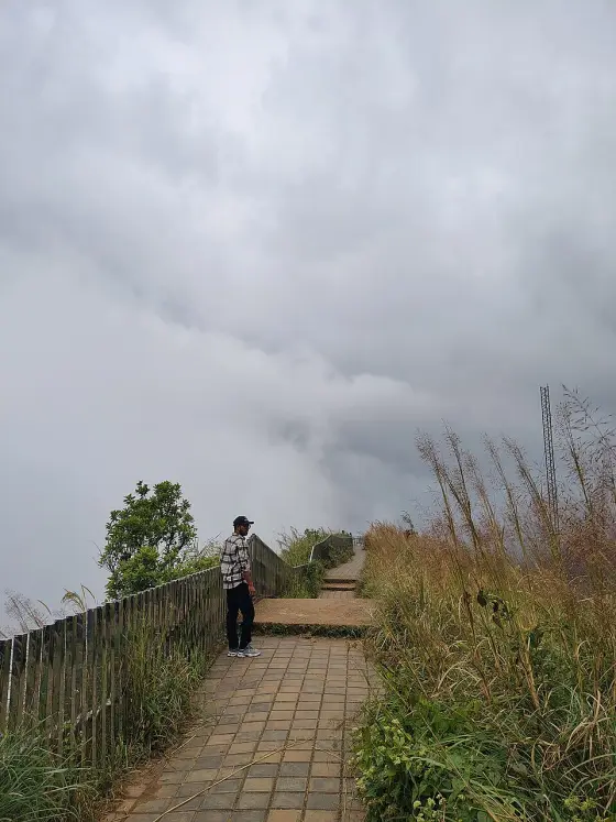A visitor stands on Illikkal Kallu’s paved viewpoint path beside a railing, long grass and shallow steps under cloud.