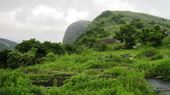 Exposed rock rises behind green vegetation in the Dhoni Hills, with walkers at the far right.