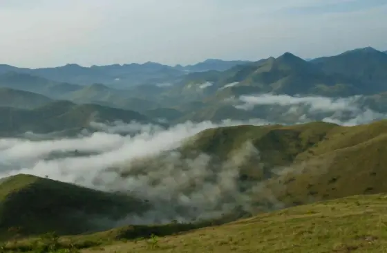 Grass-covered ridges recede towards low cloud over a forested Periyar valley.