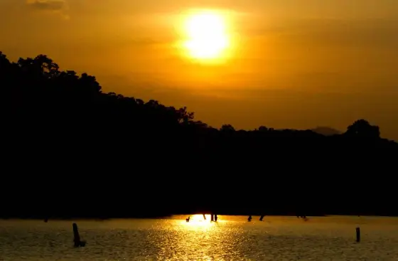 The sun hangs above a wooded silhouette and standing tree trunks in Periyar Lake.
