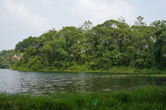 Trees and a church dome appear beyond Malankara’s water and near bank.