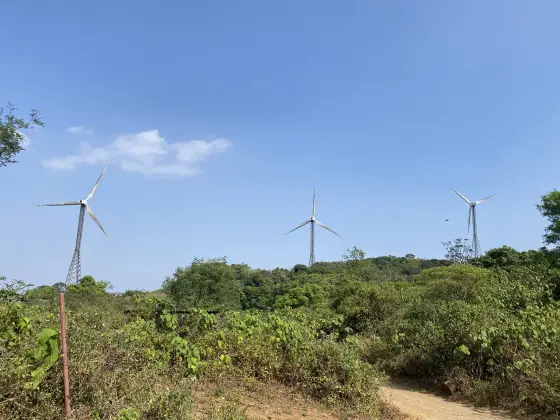 Wind turbines rise beyond bushes and a rough ridge path at Chathurangapara.