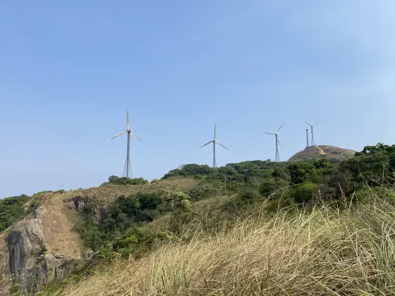 Turbines line a distant crest above Chathurangapara’s green slopes.