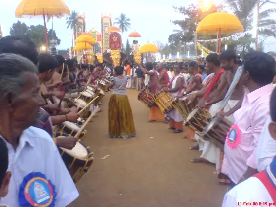 Drummers and caparisoned elephants at the Pallikkunnu feast, photographed on 11 February 2008.