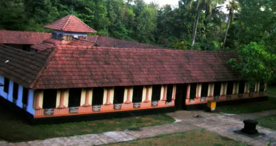 An elevated view of Thrissilery’s long tiled outer roof and surrounding trees.