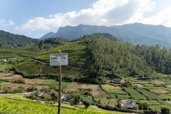 The Chundavurrai Estate West Division sign on the wider Top Station road approach.