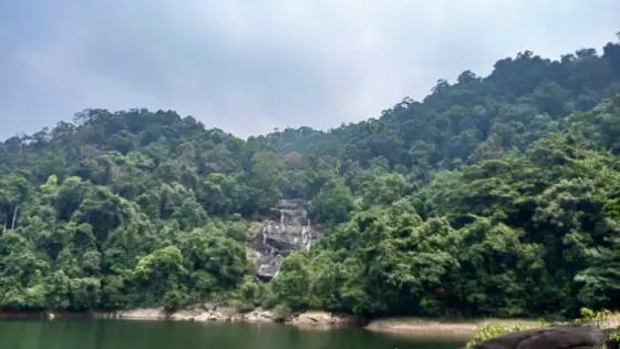 A narrow cascade crosses an exposed rock face above Kakkayam reservoir, surrounded by dense forest. Photographed in March 2026.