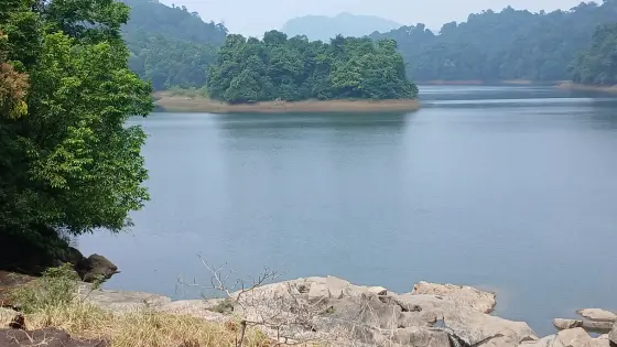 Kakkayam reservoir surrounds a wooded landform, with exposed bank in the foreground.
