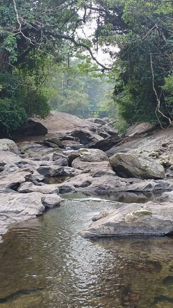 A rocky forest stream and a distant footbridge in the Kakkayam visitor landscape; the image does not establish current access.