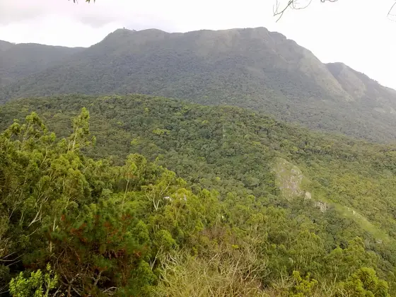 Layers of wooded hills below the Top Station viewpoint.