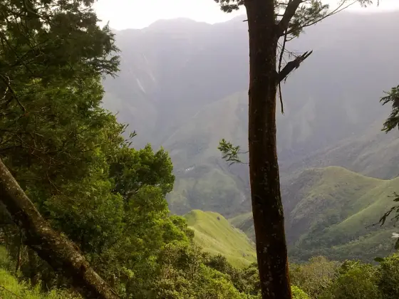 A tree frames the steep green spur and valley at Top Station.